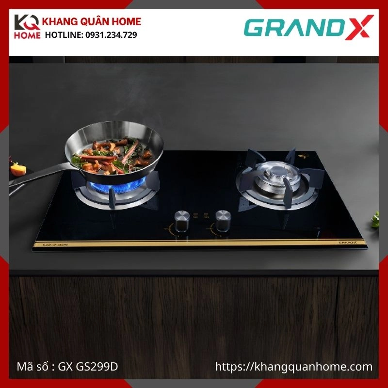 BẾP GAS ÂM 2 LÒ GRANDX GX GS299D