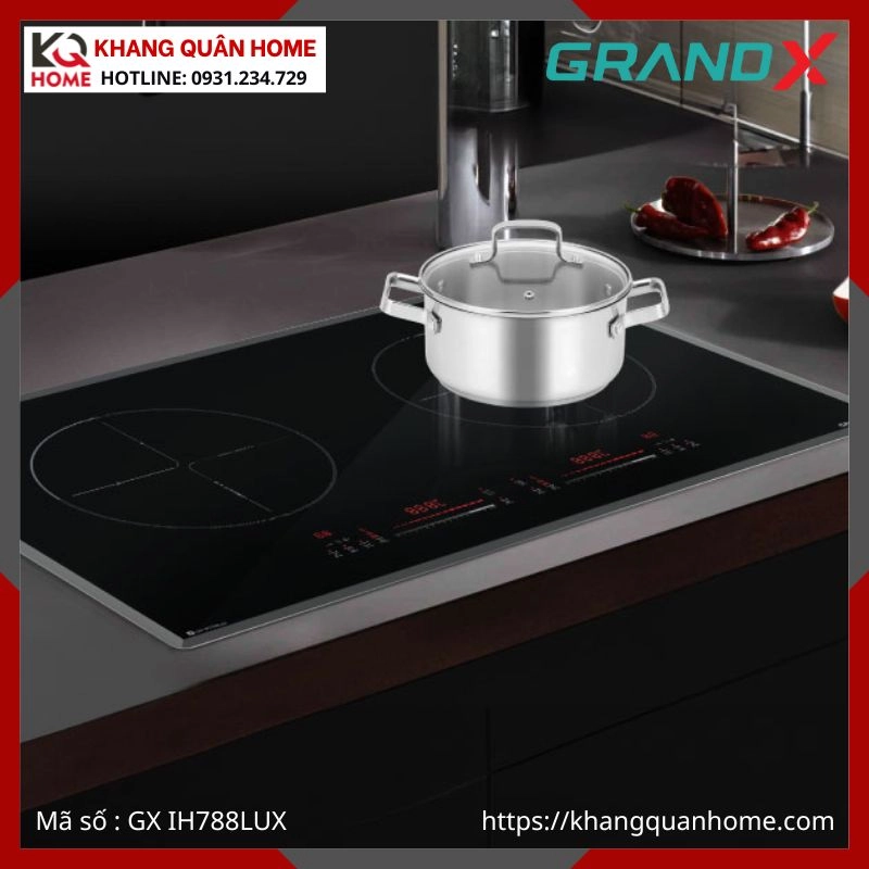 BẾP TỪ 2 VÙNG NẤU GRANDX GX IH788LUX
