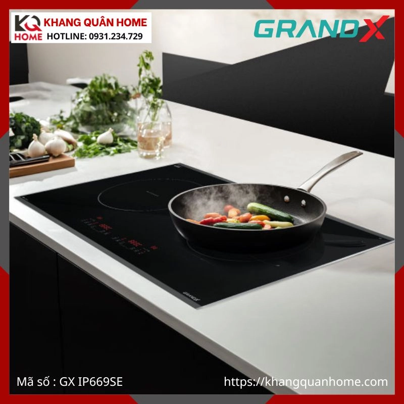 BẾP TỪ 2 VÙNG NẤU GRANDX GX IP669SE
