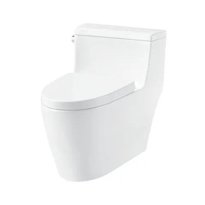 BỒN CẦU MỘT KHỐI HAFELE ICONIC 588.79.401