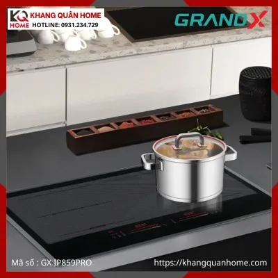BẾP TỪ 2 VÙNG NẤU GRANDX GX IP859PRO
