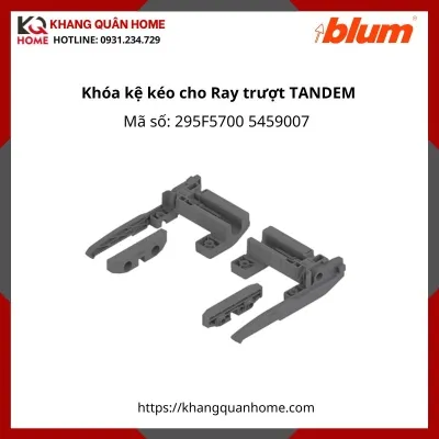 Khóa kệ kéo cho Ray TANDEM 295F5700 5459007