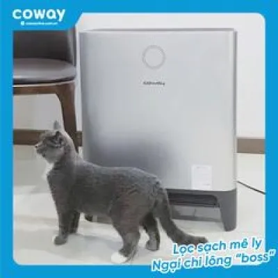 Máy lọc không khí Coway PLATFORM 600- AP-2318D - Chính Hãng