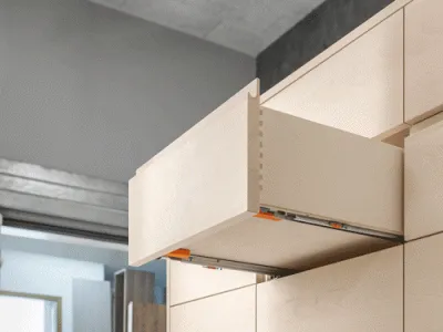 Ray Trượt Blum TANDEM Có Mấy Loại? 80% Hiểu Sai Về Ray