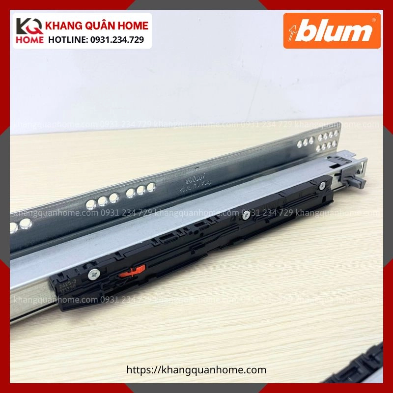 RAY MOVENTO BLUM 70KG